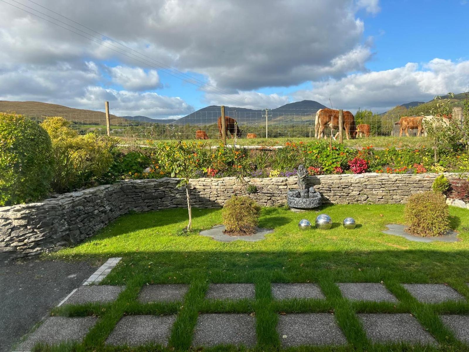 Laburnum B&B Kenmare Kültér fotó